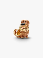 img.svg